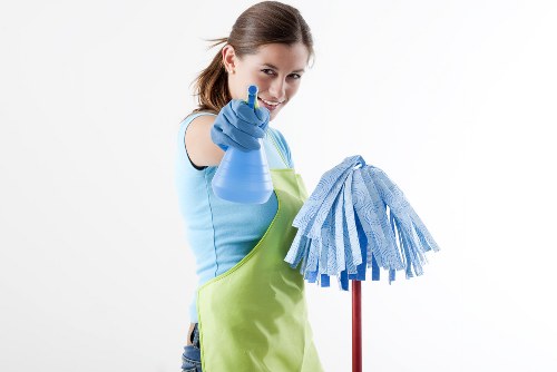 Steam carpet cleaning service for a W3 home carpet