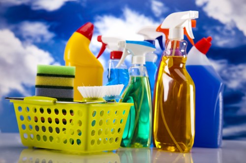Cleaners W3 concept showing a fresh and organized interior