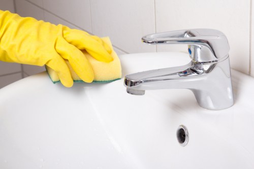 W3 cleaners theme with a bright and tidy living space