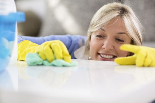 Regular house cleaning support for a family property in W3